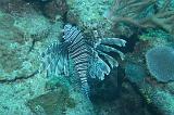 2008-05-19 15-13-34 H
